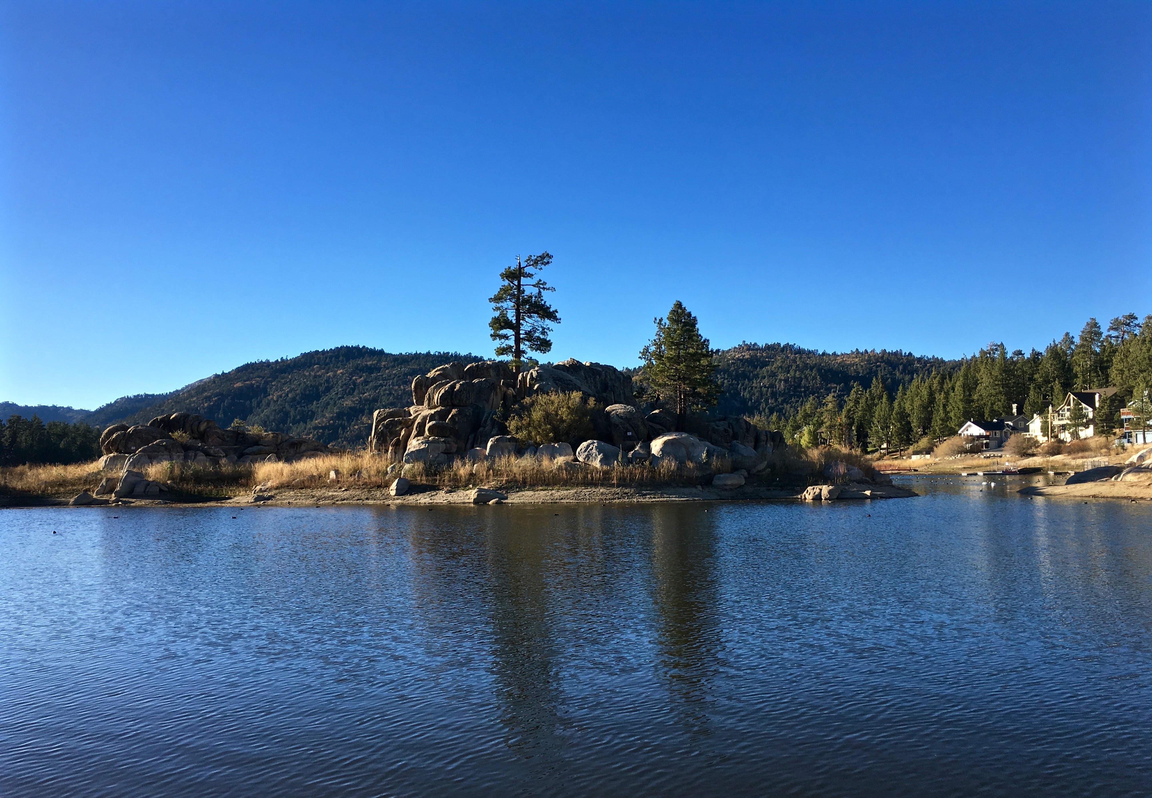 Vacation Rental Photo