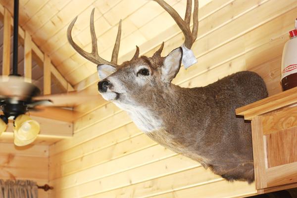 Vacation Rental Photo