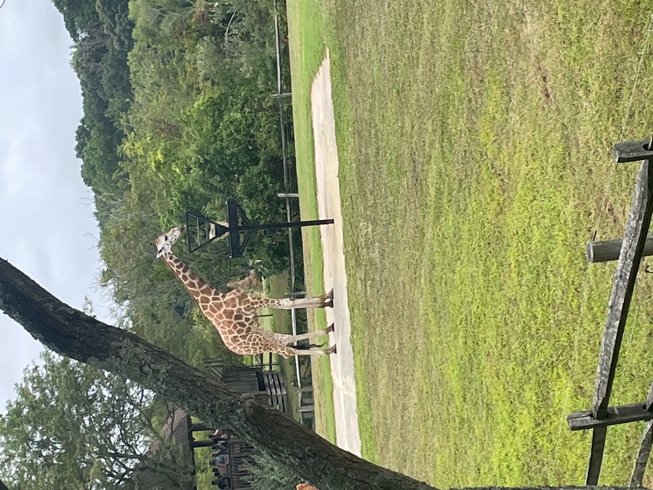 Vacation Rental Photo