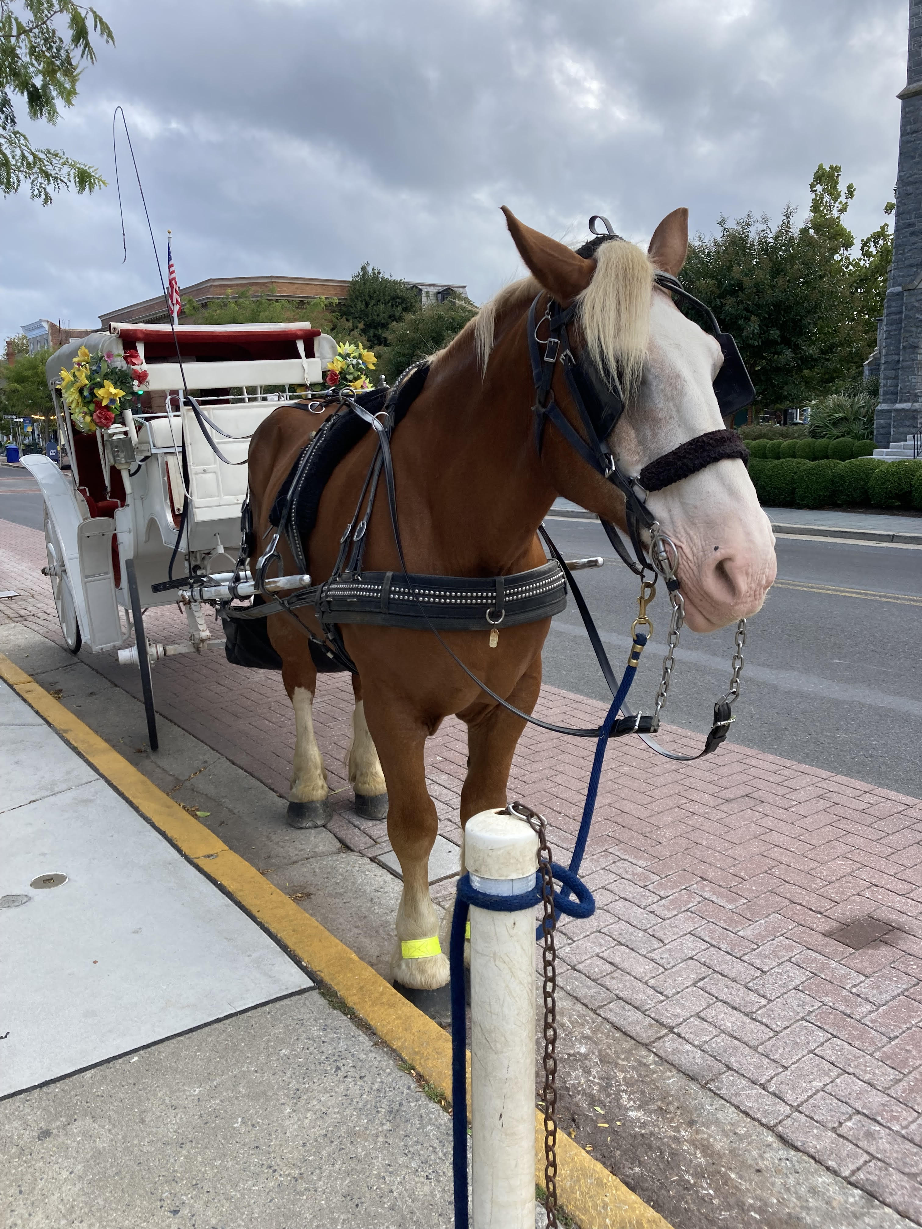 Vacation Rental Photo