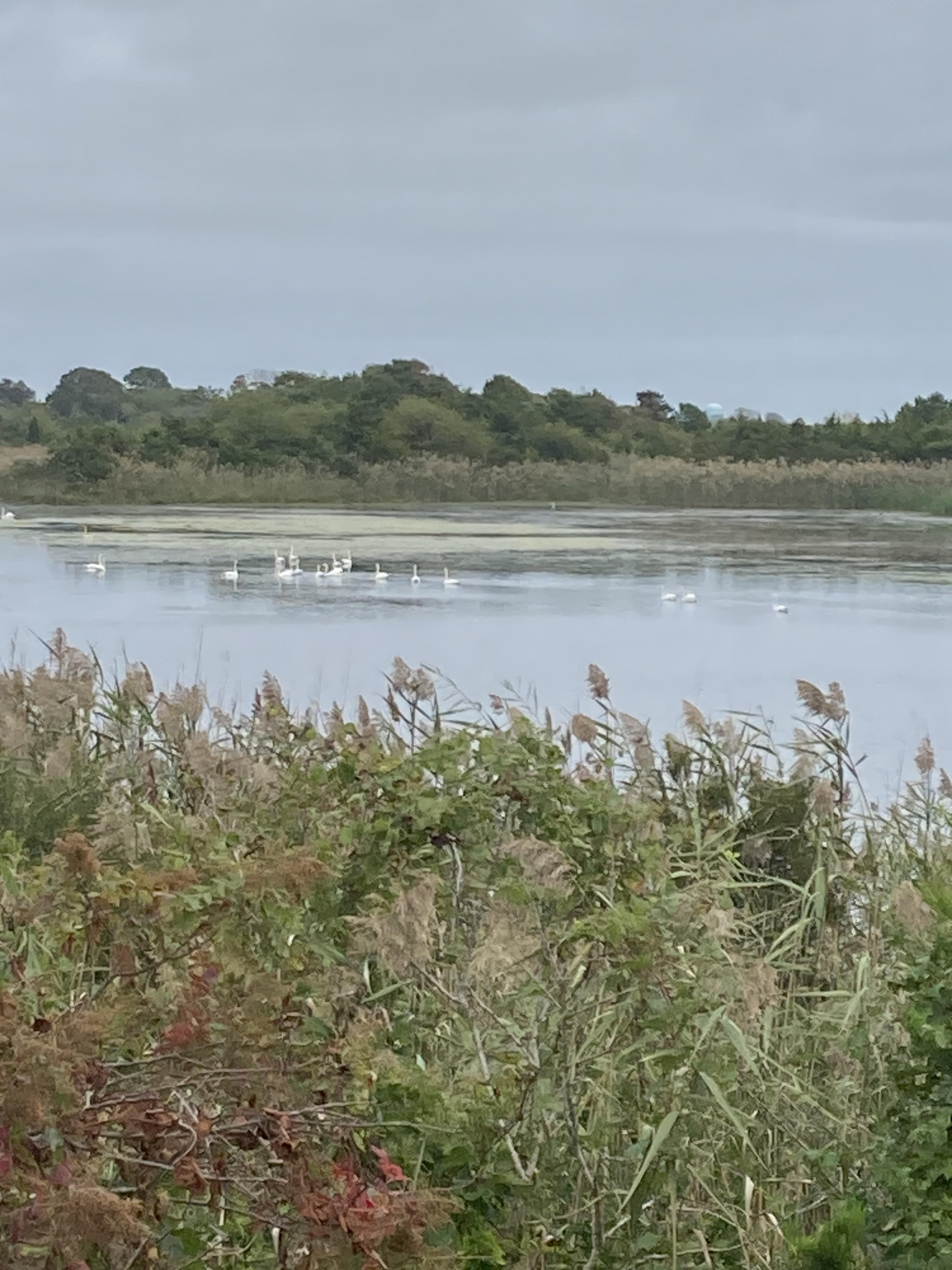 Vacation Rental Photo