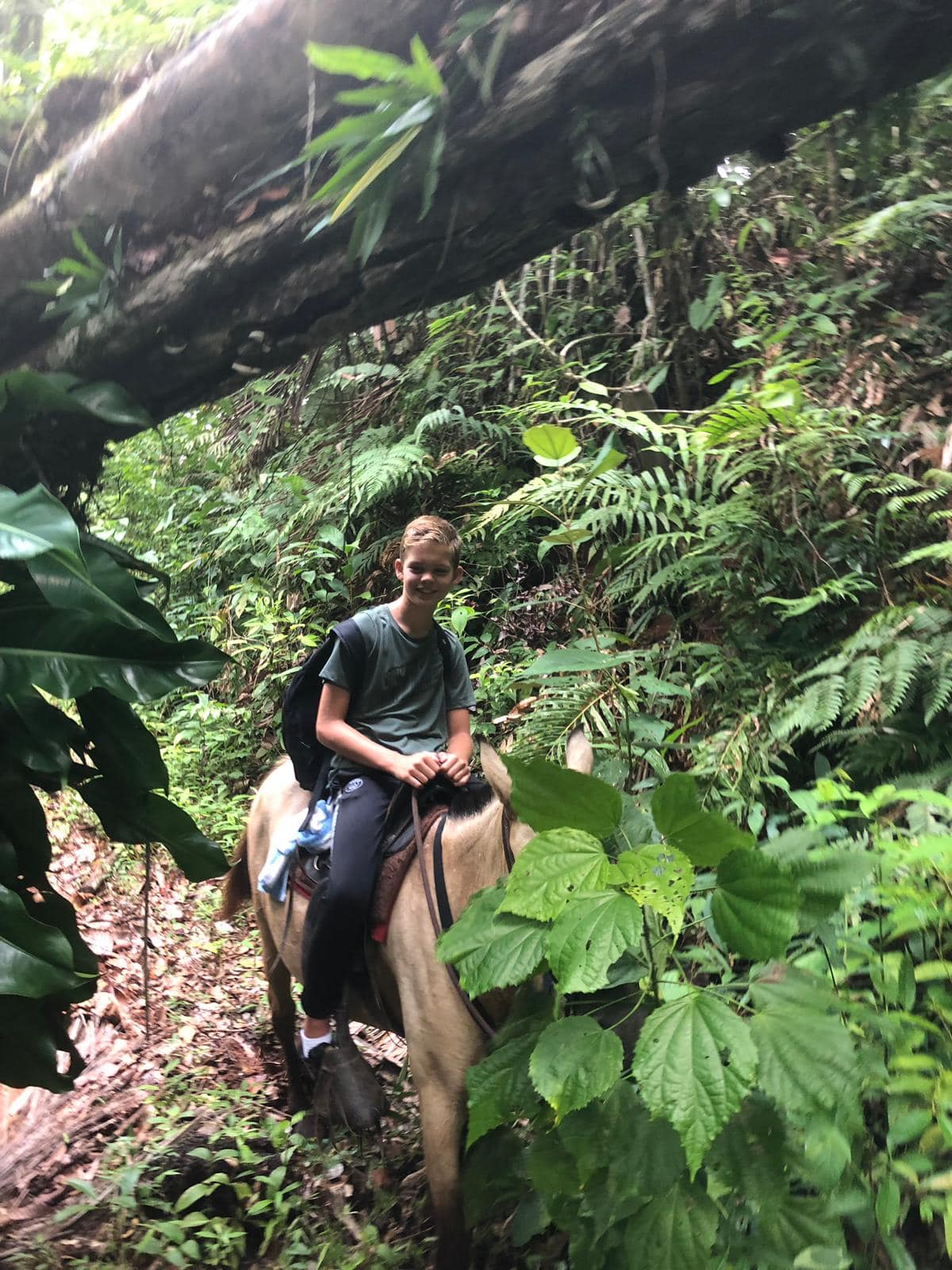 Vacation Rental Photo