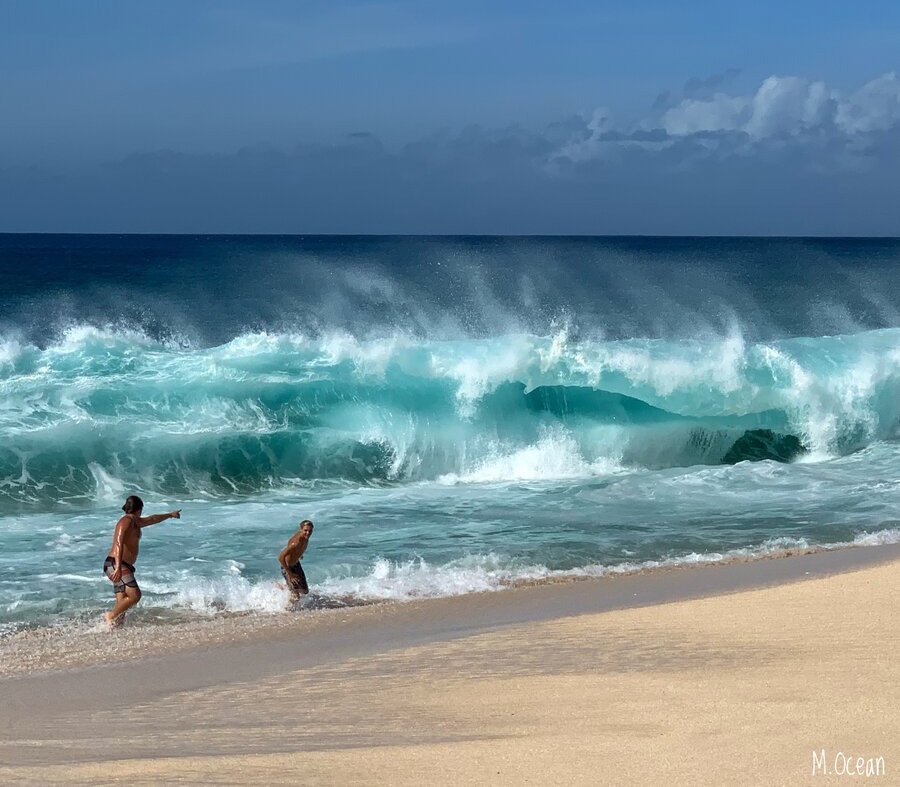 Vacation Rental Photo