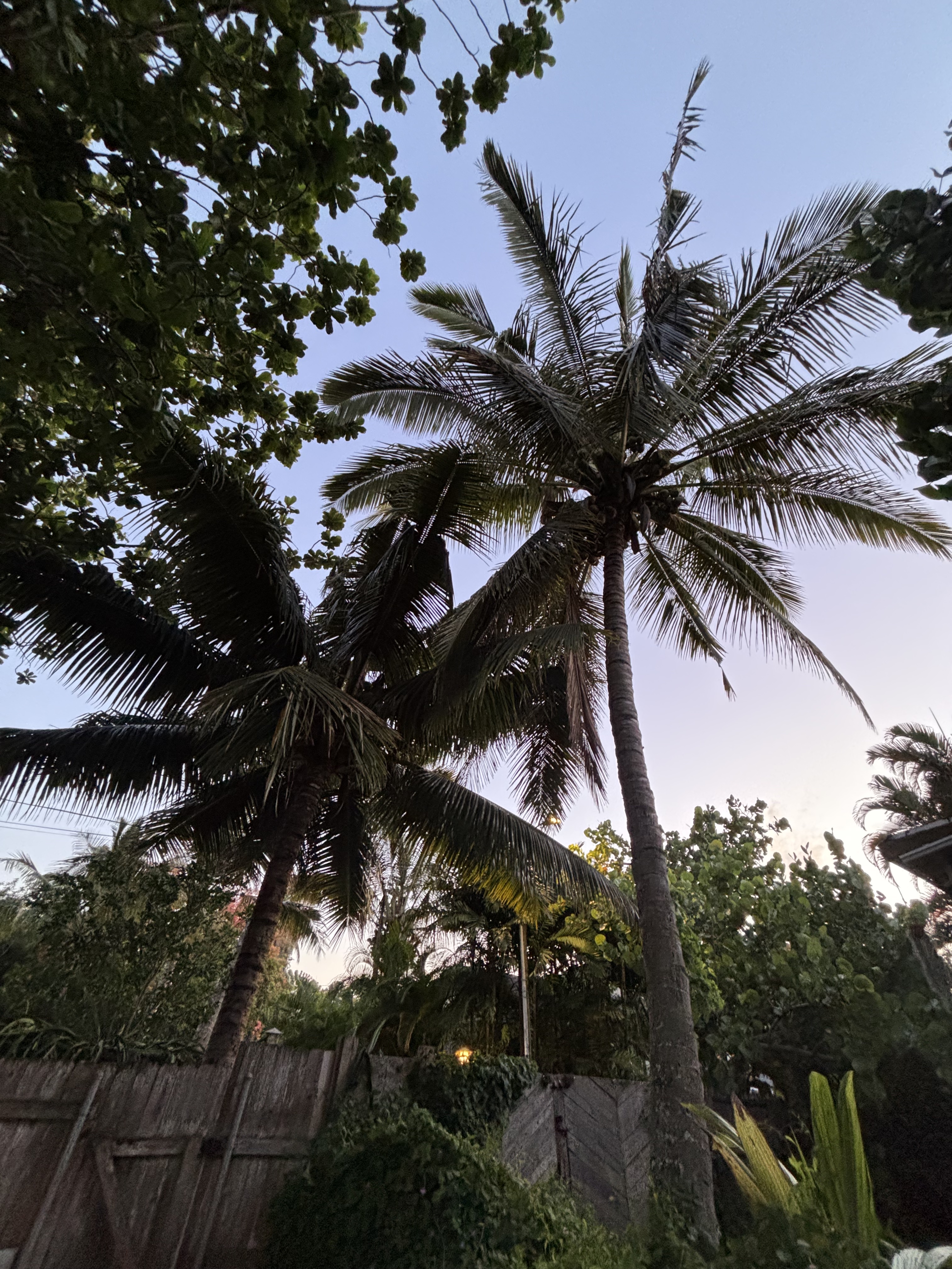 Vacation Rental Photo