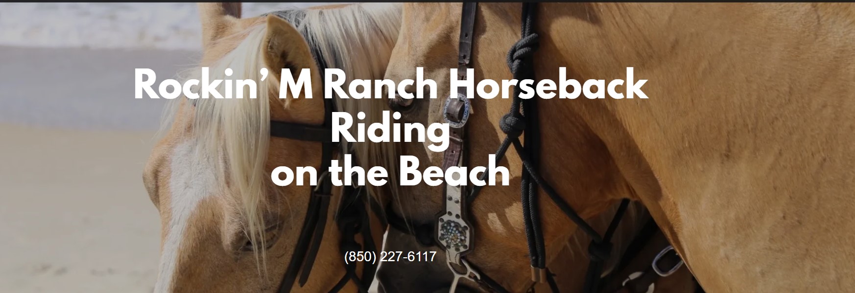 Vacation Rental Photo