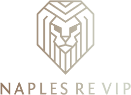 NaplesRentalsVIP@gmail.com Logo